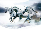 省内排行前十，，，设计、、施工实力排前